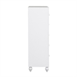 Pemberly Row White 5 Drawer Chest with Dovetail and Case Moldings