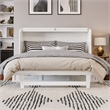 Pemberly Row Queen Solid Wood Modern Murphy Bed Chest with Mattress