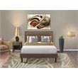 Pemberly Row 2-Piece Engineered Wood Queen Bedroom Set in Brown Finish