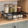 Pemberly Row Twin Metal Bed Frame in Black Finish