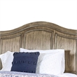 Pemberly Row Queen Wooden Bed with 2 Drawers and Panel Headboard in Brown