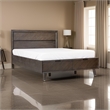 Pemberly Row Queen Platform Bed with 2 Storage Drawers in Brown