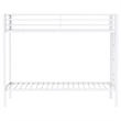 Pemberly Row Steel Twin Over Twin Bunk Bed with Ladder in White