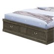 Pemberly Row Modern Queen Storage Bed with Drawers in Gray