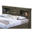 Pemberly Row Modern Queen Storage Bed with Drawers in Gray