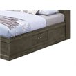 Pemberly Row Modern Queen Storage Bed with Drawers in Gray