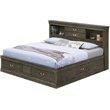 Pemberly Row Modern Queen Storage Bed with Drawers in Gray