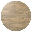 Pemberly Row Mango Wood Round Drum Coffee Table in Briarsmoke