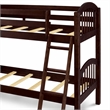 Pemberly Row Wood Twin Bunk Bed with Guard Rails in Java Finish