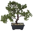 Pemberly Row 12 in Artificial Green Pine Bonsai Tree in Pot