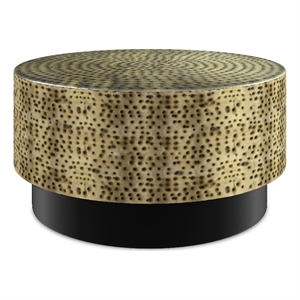 Pemberly Row Modern 30&quot Metal Coffee Table in Antique Gold and Black