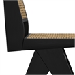 Pemberly Row Contemporary Rattan Dining Chair Set of 2 in Black