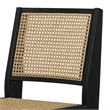 Pemberly Row Contemporary Rattan Dining Chair Set of 2 in Black
