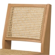 Pemberly Row Contemporary Rattan Dining Chair Set of 2 in Natural