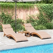 Pemberly Row Foldable Solid Acacia Wood Sun Lounger Set of 2 in Beige
