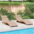 Pemberly Row Foldable Solid Acacia Wood Sun Lounger Set of 2 in Taupe