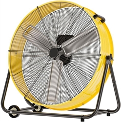 Fans