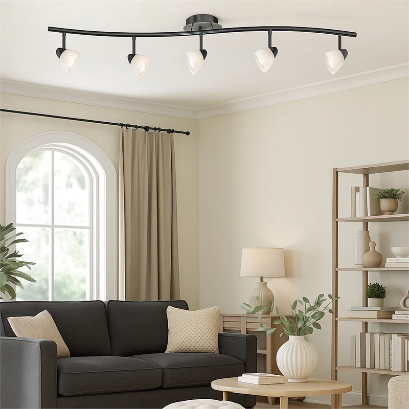 Pemberly Row 5-Light Track Fixture with Glass Shades in Black & White
