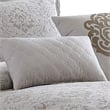 Pemberly Row 10-Piece King Comforter Set with Floral Print in Gray