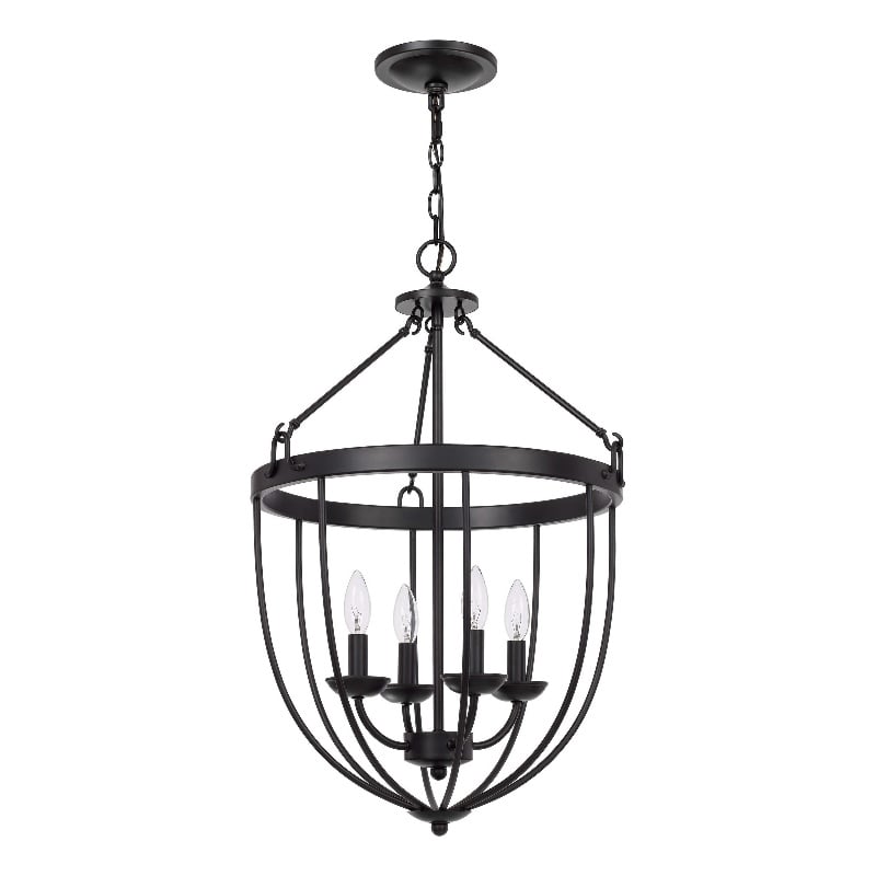 Pemberly Row 4-Light Chandelier with Metal Bird Cage and Chain in Black