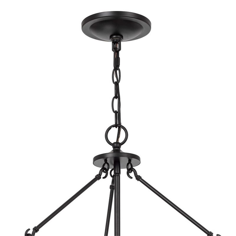 Pemberly Row 4-Light Chandelier with Metal Bird Cage and Chain in Black