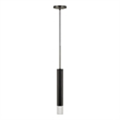 Pemberly Row Hexagonal Aluminum LED Pendant with Glass Diffuser in Black