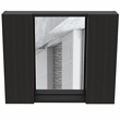 Pemberly Row Medicine Cabinet with Mirror 23.62in Wide in Black