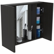 Pemberly Row Medicine Cabinet with Mirror 23.62in Wide in Black
