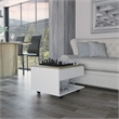 Pemberly Row Lift Top Coffee Table 21.6in Wide in Multi-Color