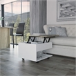 Pemberly Row Lift Top Coffee Table 21.6in Wide in Multi-Color