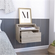 Pemberly Row Floating Nightstand with Drawer and Shelf in Gray