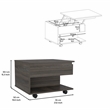 Pemberly Row 2 Piece Bar Cart and Lift Top Coffee Table Set in Brown