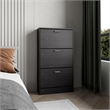 Pemberly Row 3 Tier Pull Down Shoe Cabinet 45in High in Black