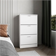 Pemberly Row 3 Tier Pull Down Shoe Cabinet 45in High in White
