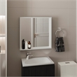 Pemberly Row Bathroom Mirror Medicine Cabinet with Shelves in White