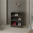 Pemberly Row 3-Tier Open Shoe Rack with Storage in Wengue
