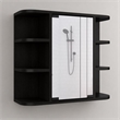 Pemberly Row Valdez Medicine Cabinet with Mirror and Shelves in Black
