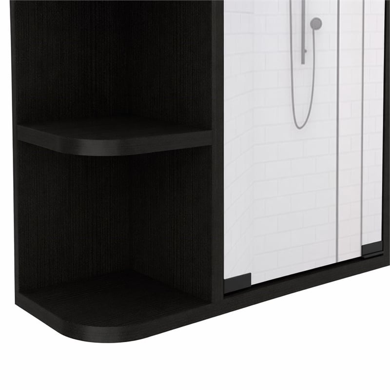 Pemberly Row Valdez Medicine Cabinet with Mirror and Shelves in Black