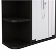 Pemberly Row Valdez Medicine Cabinet with Mirror and Shelves in Black