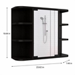 Pemberly Row Valdez Medicine Cabinet with Mirror and Shelves in Black