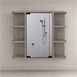 Pemberly Row Valdez Medicine Cabinet with Six Shelves Engineered Wood Gray