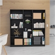 Pemberly Row 2 Piece Living Room Set with 2 Bookcases in Black