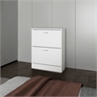 Pemberly Row Slim Shoe Cabinet with 2 Tilt-Out Doors in White