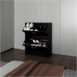 Pemberly Row Slim Shoe Cabinet with 2 Tilt-Out Doors in Wenge