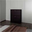 Pemberly Row Slim Shoe Cabinet with 2 Tilt-Out Doors in Wenge