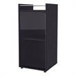 Pemberly Row Glass Door Bar Cabinet with Shelves Engineered Wood in Black