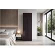 Pemberly Row Contemporary Minimalist Wardrobe for Bedrooms in Wenge