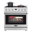 Pemberly Row 36 in. Professional Electric Range in Stainless-Steel