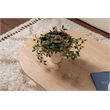 Pemberly Row Sable Coffee Table in Sapphire Oak Finish