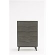 Pemberly Row Modern Veneer Wood and Stainless Steel Chest in Gray